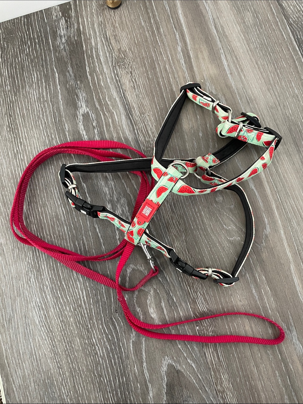 Dog Harness, Max & Molly Watermelon Print with Matching Leash